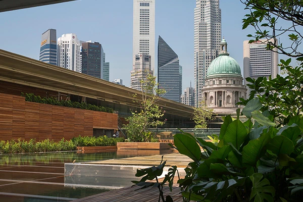 Ng Teng Fong Roof Garden