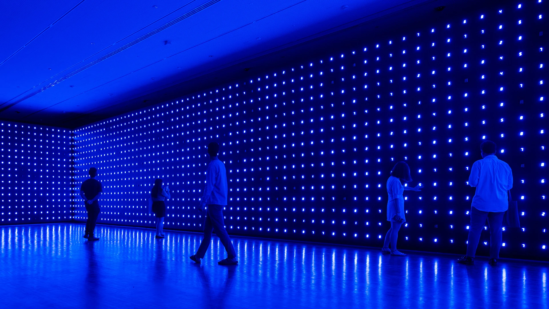 Image: Tatsuo Miyajima. Mega Death. 1996/2016. LED, IC, infrared wire and electric sensor. Dimensions variable. Domus Collection. Installation view at Tatsuo Miyajima: Connect with Everything, Museum of Contemporary Art Australia, 2016. © Domus Collection and Tastuo Miyajima; courtesy of Tatsuo Miyajima and Museum of Contemporary Art Australia; photo by Alex Davies.