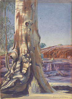 Albert Namatjira