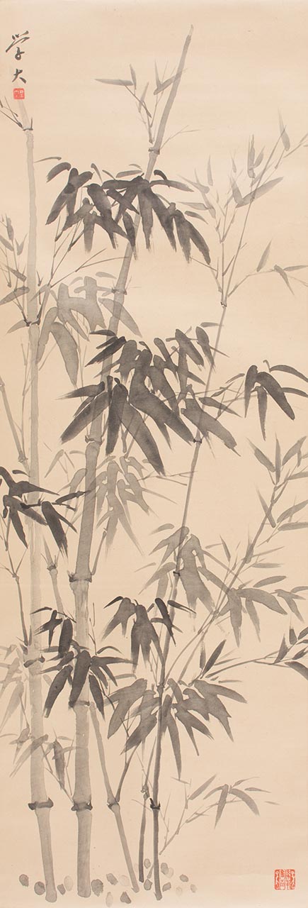 Bamboo 4